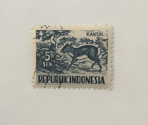 Indonesia 1956  Scott 424 used - 5s, Animals, Chevrotain