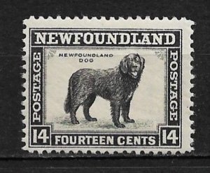 1941 Newfoundland 261 14¢ Newfoundland dog MNH