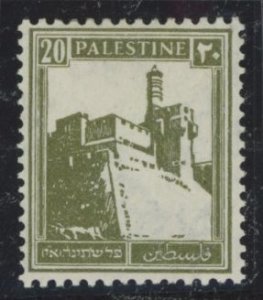 Palestine #77  Single