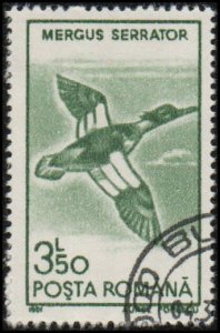 Romania 3644 - Cto - 3.50L Red-breasted Merganser (1991)