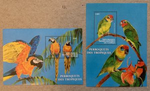 Zaire 2000 Parrots set of MS, MNH. Scott 1541-1542, CV $13.50