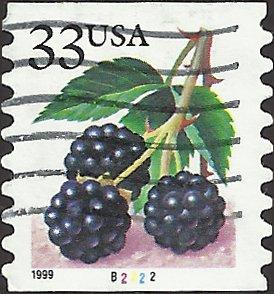 P.N.C. B2222 # 3304 USED BLACKBERRIES