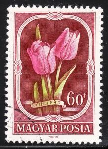 Hungary 976 -  FVF used