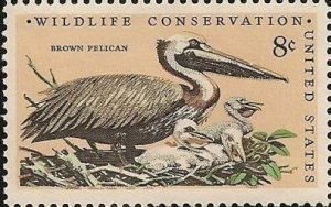 US 1466 Wildlife Conservation Brown Pelican 8c single (1 stamp) MNH 1972