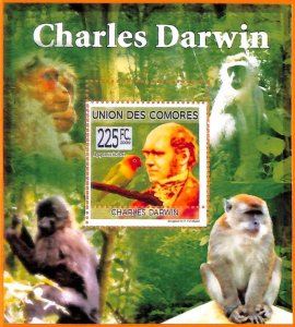 A5614 - COMOROS - ERROR, 2009, MISPERF SOUVENIR SHEET: Darwin, Birds, Monkeys