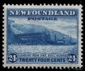 Newfoundland # 210  Mint  VF  NH  Cat $ 6