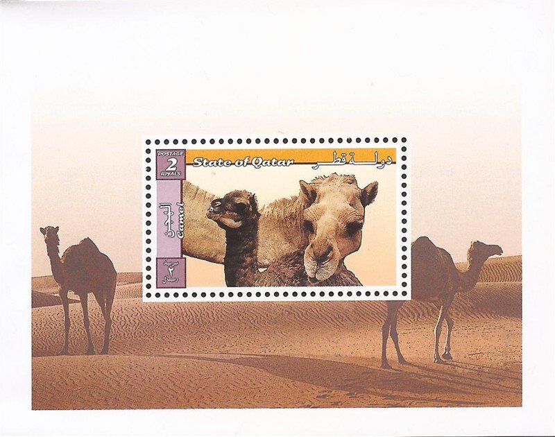 Qatar - 1999 Dromedary Camels - Stamp Souvenir Sheet - Scott #919