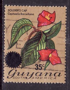 Guyana-Sc#234-used set-35c on 60c Soldiers Cap-Flowers-1976-