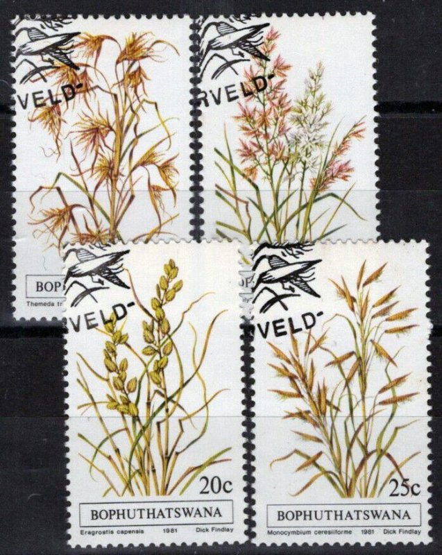 ZAYIX South Africa Bophuthatswana 80-83 CTO Grasses Plants 092022S113M