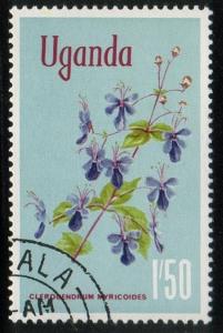 Uganda #125 - Clerodendrum myricoides - CTO