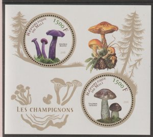 FUNGI perf sheet containing two circular values mnh