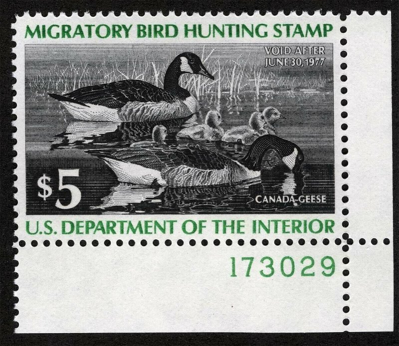 US Sc RW43 $5.00 1976 MNH OG Plate Number Single Duck 