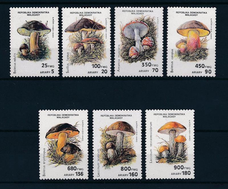 [50165] Madagascar Malagasy 1990 Mushrooms  MNH