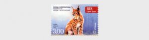 2011 Bosnia & Herzegovina Croat Admin Lynx B4 (Scott 261) MNH