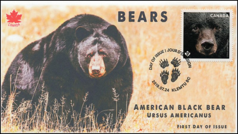 CA19-027, 2019, Canadas Bears, Pictorial Postmark, First Day Cover, Black Bear