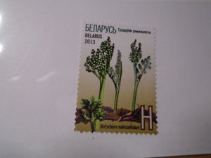 Belarus  #  846  MNH   Flowers