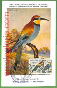 32937 - FRANCE - MAXIMUM CARD - FAUNA, BIRDS-