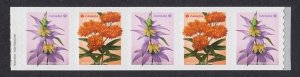 New! = Coil END strip 5 with Nibs =Wildflowers MNH Canada 2024