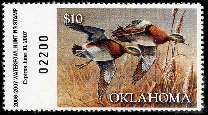 OKLAHOMA #27 2006 STATE DUCK STAMP AMERICAN WIDGEON  by James Hublick