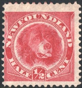 Newfoundland SC#56 ½¢ Newfoundland Dog (1887) MH