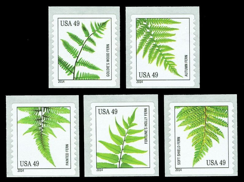 Scott 4848-4852 49c Ferns Coil Mint Singles VF NH Face $2.45