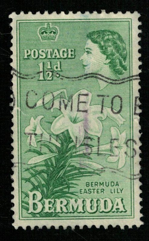 Bermuda, 1953 Queen Elizabeth II, 11/2d (TS-312)