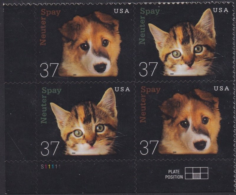 3671a Neuter & Spay plate Block MNH