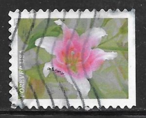 USA 5565: Asiatic Lily, off paper, used, VF