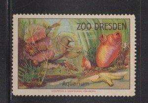 German Collector Advertising Stamp Dresden Zoo, Aquarium, Shells & Sea Stars- NG