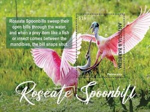 2023 09- ANTIGUA - ROSEATE SPOONBILL        1V  complet set    MNH **