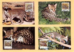 El Salvador WWF World Wild Fund for Nature maxicards the Ocelot wild cats