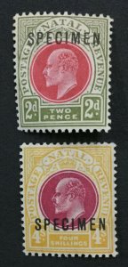 MOMEN: NATAL SG #130s,139s SPECIMEN MINT OG H/NH LOT #191727-513