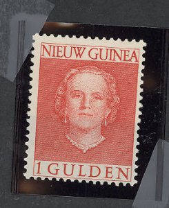 Netherlands New Guinea #19  Single