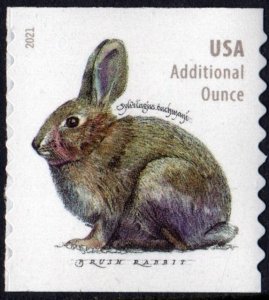 SC#5545 (Forever Additional Oz.) Brush Rabbit Coil Single (2021) SA