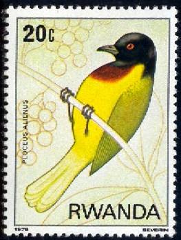 Bird, Strange Weaver, Rwanda stamp SC#943 MNH