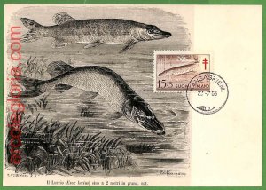 32624 - FINLAND - MAXIMUM CARD - 1966 - FISHES-