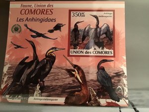 Comoro Islands 2009 Anhingidaes mint never hinged stamp sheet R24074