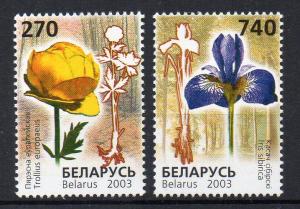 BELARUS - FLOWERS - 2003 -