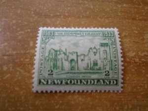 Newfoundland  # 213  MNH
