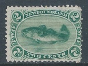 Newfoundland #24 Mint No Gum 2c Codfish