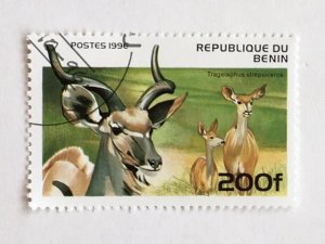 Benin – 1996 – Single “Mammal” Stamp – SC# 935 - CTO