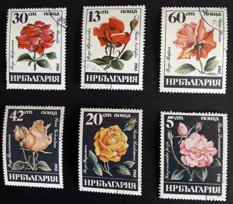 Flowers, Europe, Bulgaria, 1985, №19-T