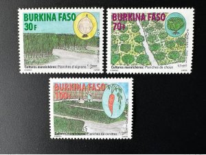 2011 Burkina Faso Mi. 1949 - 1951 Vegetable Vegetable Vegetable Vegetable Vegetable Vegetables-