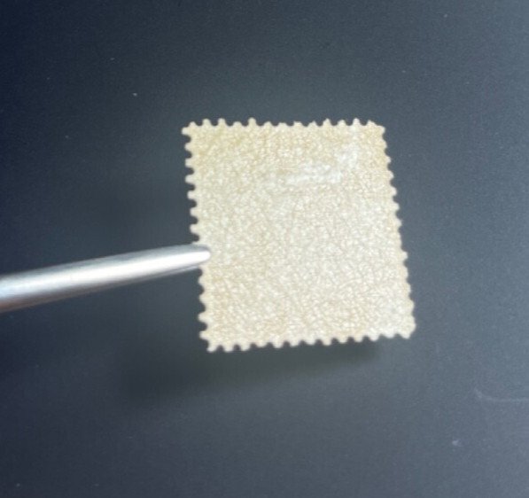 MOMEN US STAMPS #125 NO GRILL MINT OG LH PF CERT LOT #94775-5