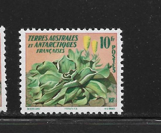 FSAT/TAAF - SCOTT #11 - 1959 FLOWER ISSUE - VERY FINE - MINT NEVER HINGED #1