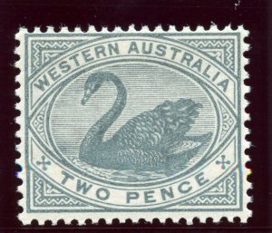 Western Australia 1890 QV 2d grey superb MNH. SG 96a.