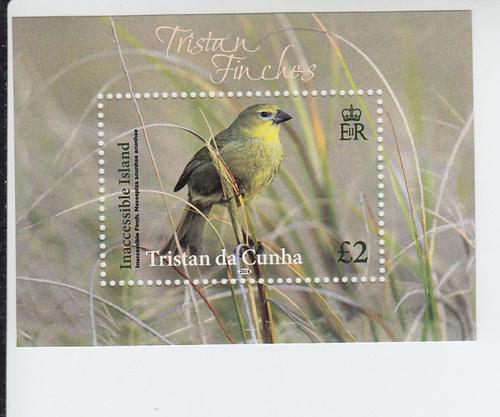 2014 Tristan Da Cunha Finches SS (Scott 1023) MNH