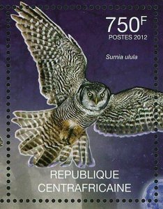 Owls Stamp Asio Flammeus Asio Otus Strix Varia S/S MNH #3636 / Bl.942 