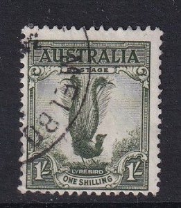 Australia   #175  used   1941  male lyrebird 1sh Perf. 15x14