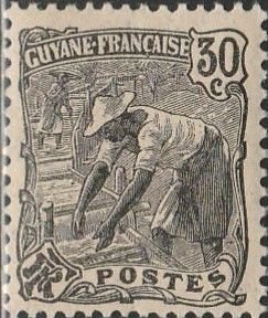 French Guiana , #63 Unused , From 1905-28    spotty gum